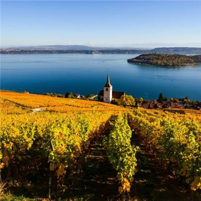 体育竞彩推荐平台app