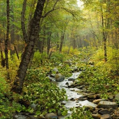 体育竞彩推荐平台app