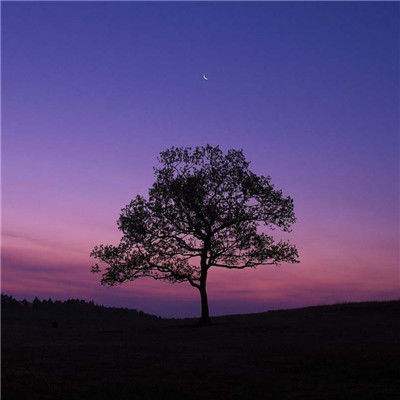 江南体育手机app下载截图