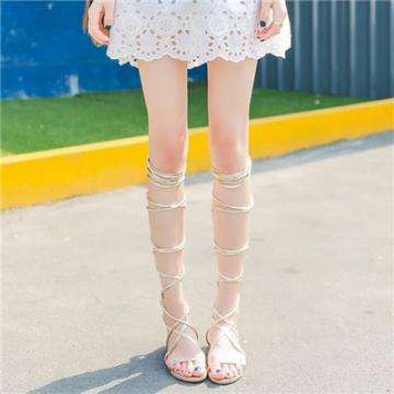 云开平台登录app